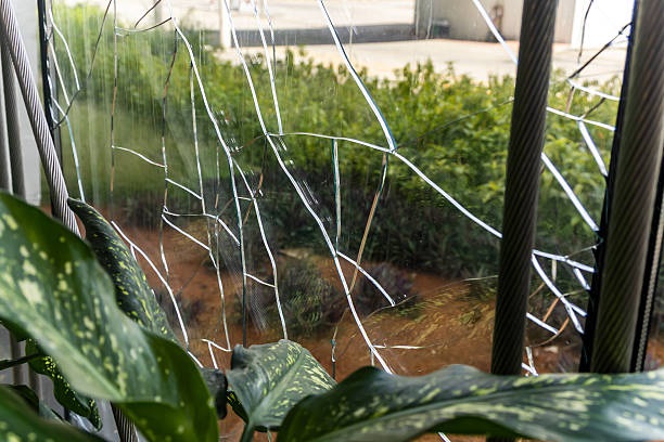 Damaged Window Repairs